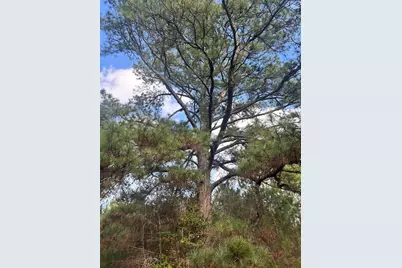 301 Fairway Drive NW, New Ellenton, SC 29809 - Photo 12