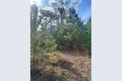 301 Fairway Drive NW, New Ellenton, SC 29809 - Photo 10