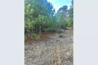 301 Fairway Drive NW, New Ellenton, SC 29809 - Photo 18