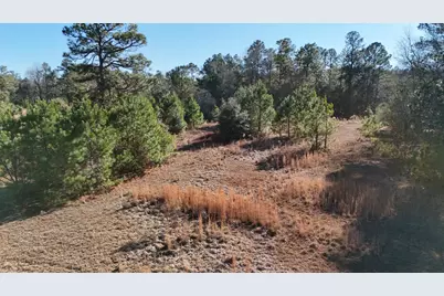 301 Fairway Drive NW, New Ellenton, SC 29809 - Photo 24