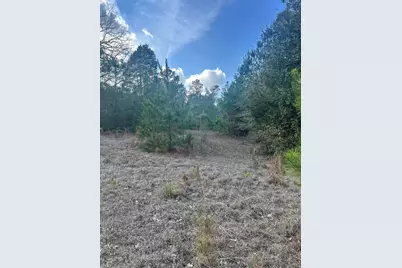 301 Fairway Drive NW, New Ellenton, SC 29809 - Photo 14