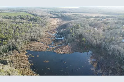 00 Millers Pond Road, Wagener, SC 29164 - Photo 12