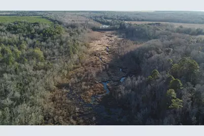 00 Millers Pond Road, Wagener, SC 29164 - Photo 16