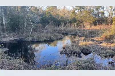 00 Millers Pond Road, Wagener, SC 29164 - Photo 26