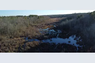 00 Millers Pond Road, Wagener, SC 29164 - Photo 8