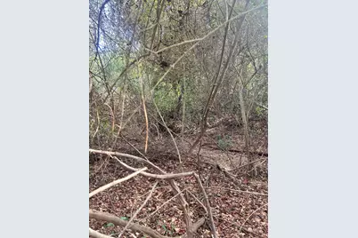 Tbd Robinson Drive NW, New Ellenton, SC 29809 - Photo 4