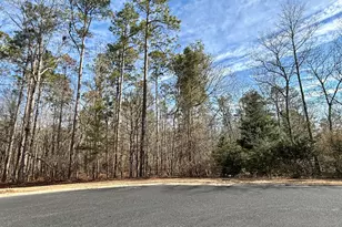 224 Kingston Heath Ct, Aiken, SC 29803 - Photo 1