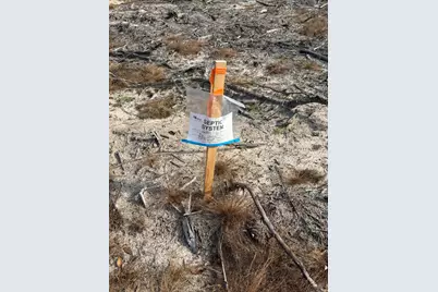 20.33 R and B Avenue, Barnwell, SC 29812 - Photo 2