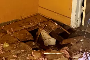 834 Peasley, Orangeburg, SC 29115 - Photo 16