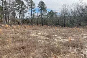 0000 Lamback Way, North Augusta, SC 29841 - Photo 1