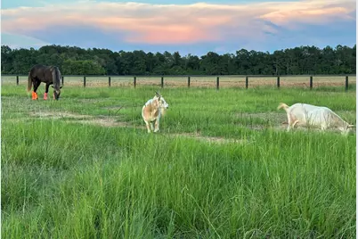 127 & 0 Martin Hollow Road, Aiken, SC 29803 - Photo 64