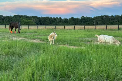 127 Martin Hollow Road, Aiken, SC 29803 - Photo 62