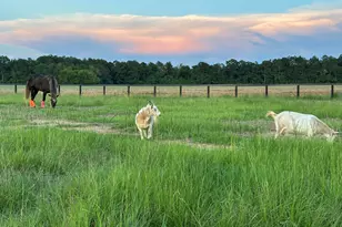 127 Martin Hollow Rd, Aiken, SC 29803 - Photo 62