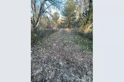 415 Forest Circle, New Ellenton, SC 29809 - Photo 4