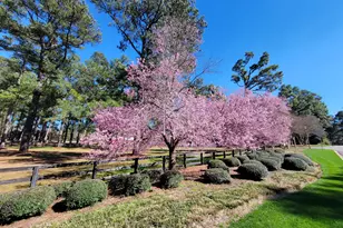 356 Forest Pines Rd, Aiken, SC 29803 - Photo 60
