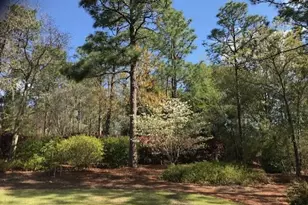 356 Forest Pines Rd, Aiken, SC 29803 - Photo 48