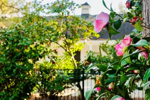 607 Colleton Ave SE, Aiken, SC 29801 - Photo 62