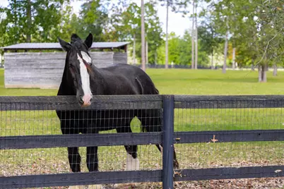 215 Filly Drive #A, Aiken, SC 29803 - Photo 62