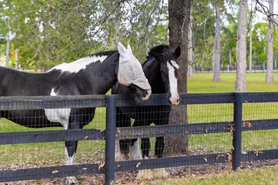 215 Filly Drive #A, Aiken, SC 29803 - Photo 58