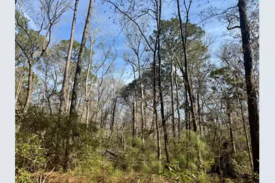 77 Barnaby, Seabrook, SC 29940 - Photo 12