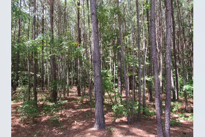 7 Riley Road, Edgefield, SC 29824 - Photo 42