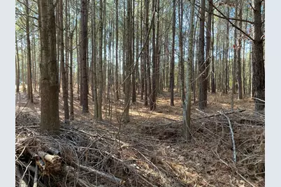 7 Riley Road, Edgefield, SC 29824 - Photo 8