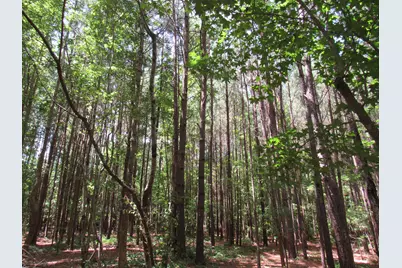 7 Riley Road, Edgefield, SC 29824 - Photo 10