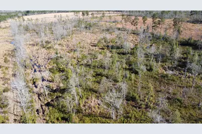 00 Epps Road, Manning, SC 29102 - Photo 16