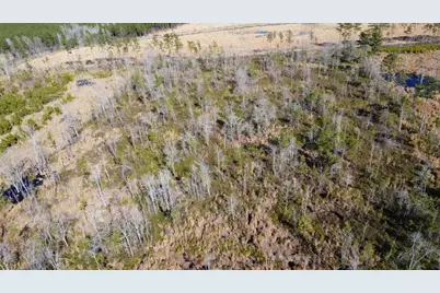 00 Epps Road, Manning, SC 29102 - Photo 12