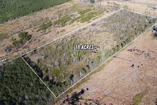 00 Epps Rd, Manning, SC 29102 - Photo 1