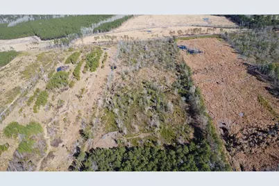 00 Epps Road, Manning, SC 29102 - Photo 4