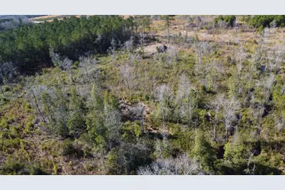 00 Epps Road, Manning, SC 29102 - Photo 14