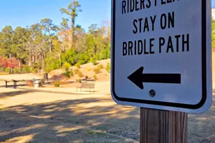 355 Park Ave SW, Aiken, SC 29801 - Photo 94