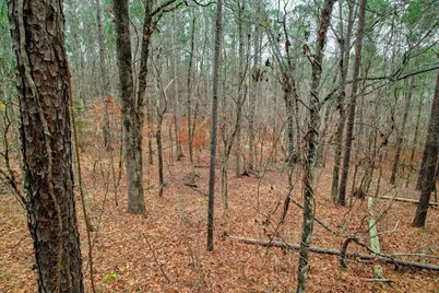 Lot K-18 Collin Reeds Road, North Augusta, SC 29860 - Photo 6