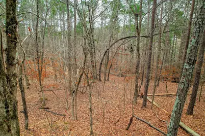 Lot K-18 Collin Reeds Road, North Augusta, SC 29860 - Photo 4