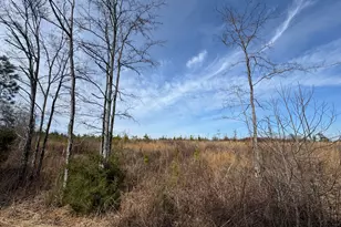 0 Ouzts Rd, Edgefield, SC 29824 - Photo 1