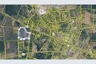 0 S Busbee South Drive, Wagener, SC 29164 - Photo 2