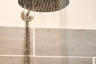 5605 Wagener Rd, Salley, SC 29137 - Photo 32