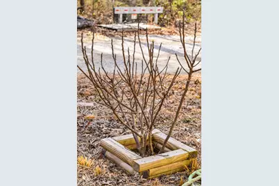 5605 Wagener Road, Salley, SC 29137 - Photo 44