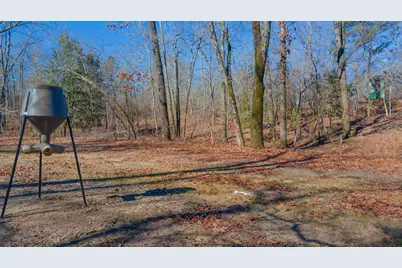 7942 Wagener Road, Salley, SC 29137 - Photo 24