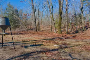 7942 Wagener Rd, Salley, SC 29137 - Photo 24