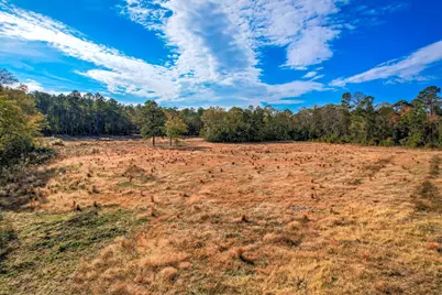 000 Wrights Mill Road #Tract C, Aiken, SC 29801 - Photo 1