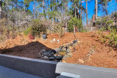 133 Sweet Gum Lane, Aiken, SC 29803 - Photo 52