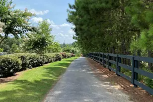 133 Sweet Gum Ln, Aiken, SC 29803 - Photo 64