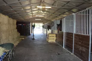 613 Dressage Ct, Aiken, SC 29805 - Photo 6