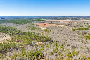 1080 Fox Young Rd, Wagener, SC 29164 - Photo 48