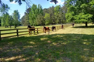 1753 Silver Bluff Road SW, Aiken, SC 29803 - Photo 50