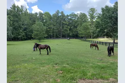 1753 Silver Bluff Road SW, Aiken, SC 29803 - Photo 56