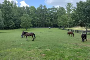 1753 Silver Bluff Road SW, Aiken, SC 29803 - Photo 56