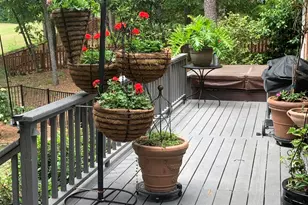 401 Northwood Dr, Aiken, SC 29803 - Photo 40